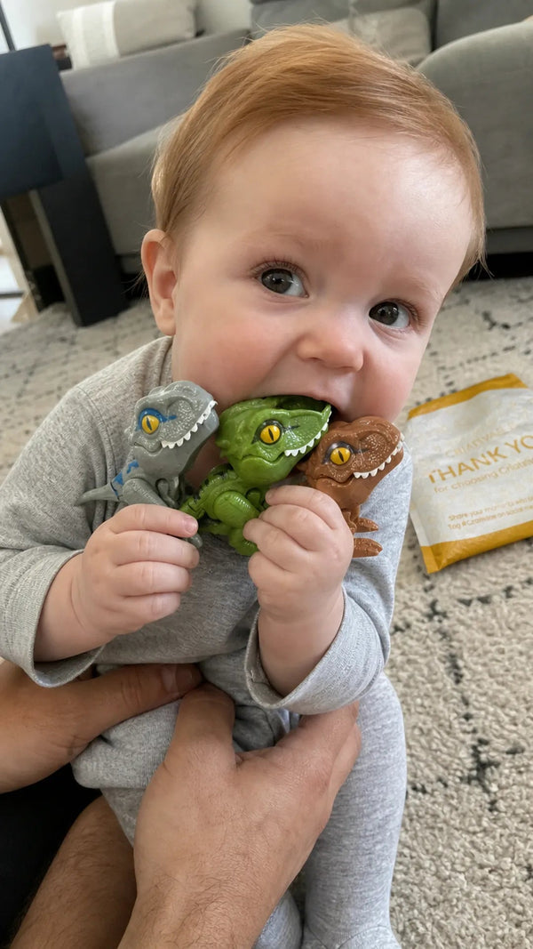 Snappysaurus Criativae - Fidget Dinosaurs with Snapping Jaws