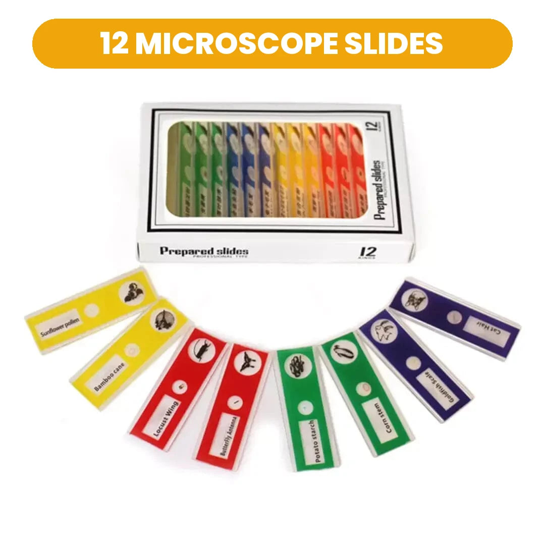 Microscopic Criativae - Slides