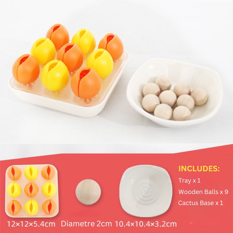 Montessori Fingerspielwerkzeug „Kaktus und Ball“