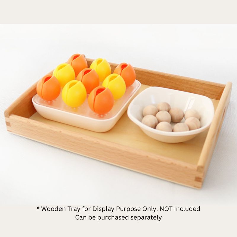 Montessori Fingerspielwerkzeug „Kaktus und Ball“