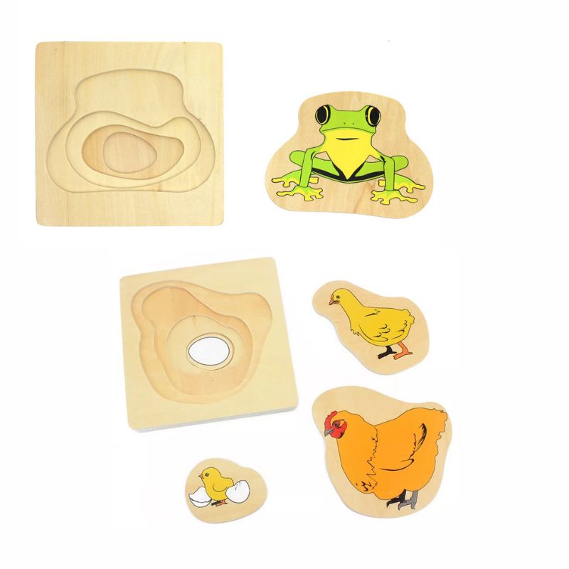 Montessori Layered Puzzles: Animal Life Cycles