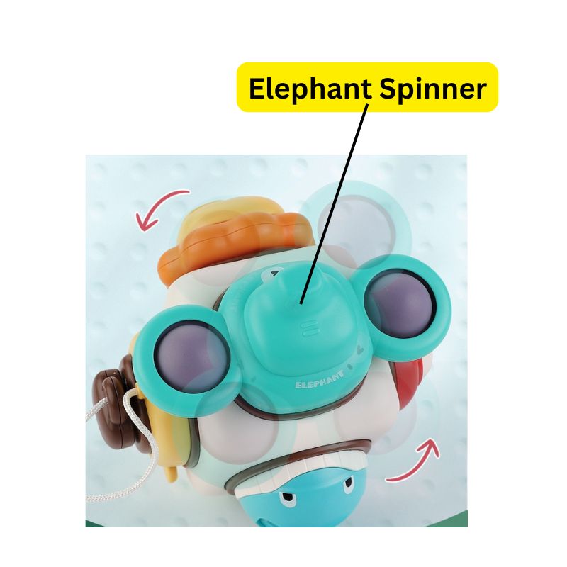 Animal Exploration Activity Cube