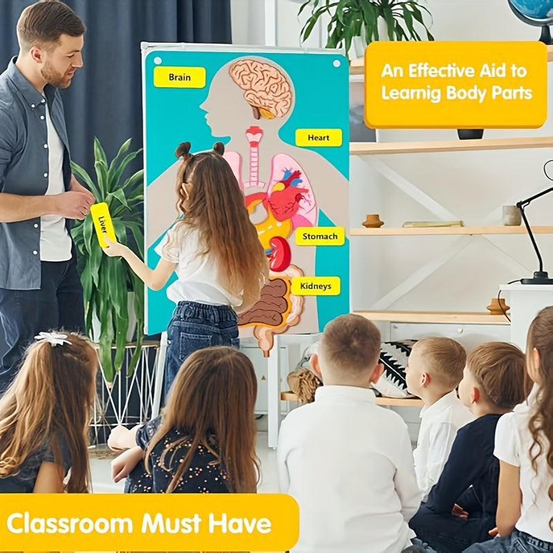 Vilt speelgoed met anatomie van het menselijk lichaam - Interactieve leerset voor kinderen