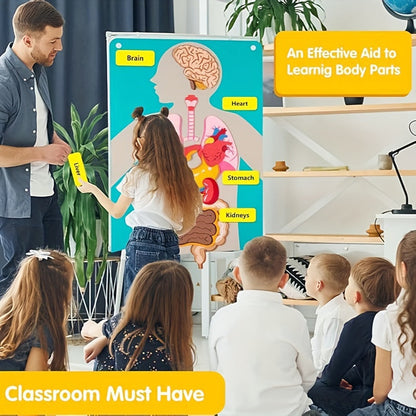 Vilt speelgoed met anatomie van het menselijk lichaam - Interactieve leerset voor kinderen