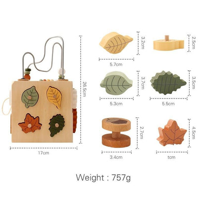 5-in-1 Wooden Early Learning Activity Toy Box