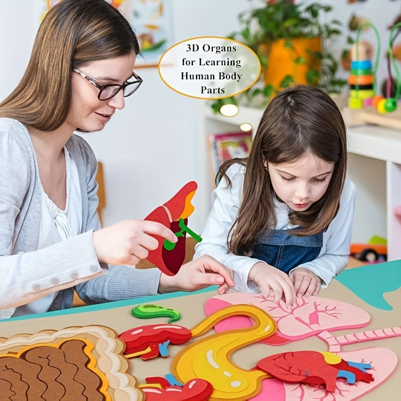Vilt speelgoed met anatomie van het menselijk lichaam - Interactieve leerset voor kinderen