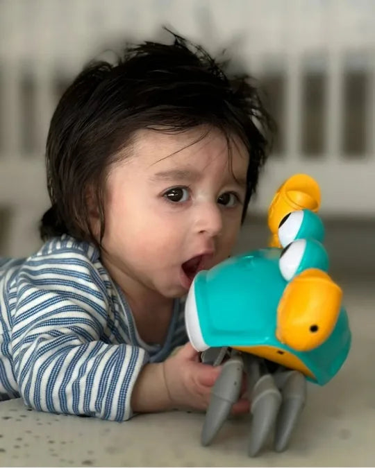 Scuttle Crab Criativae - Crawling Baby Toy with Obstacle Sensor