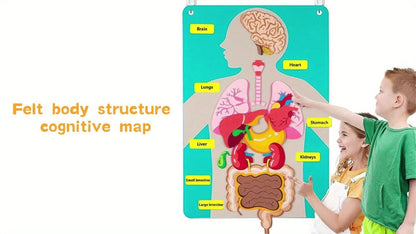Vilt speelgoed met anatomie van het menselijk lichaam - Interactieve leerset voor kinderen