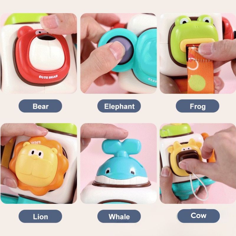 Animal Exploration Activity Cube
