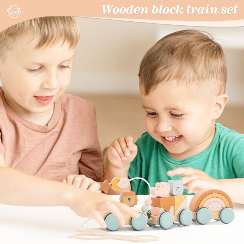 Wooden Pull Along Animal Block Train Set