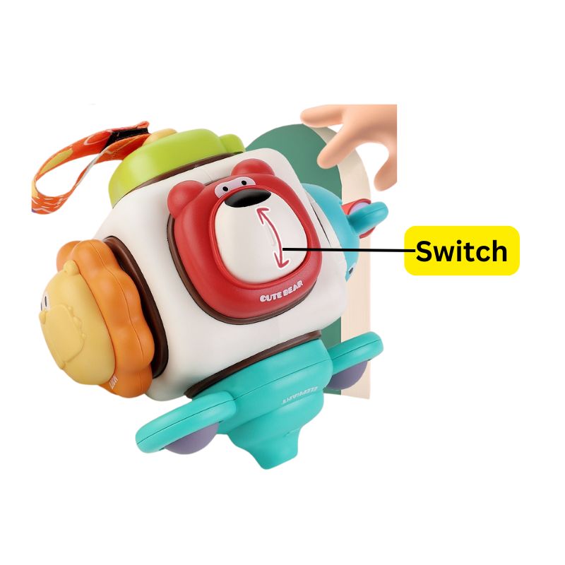 Animal Exploration Activity Cube