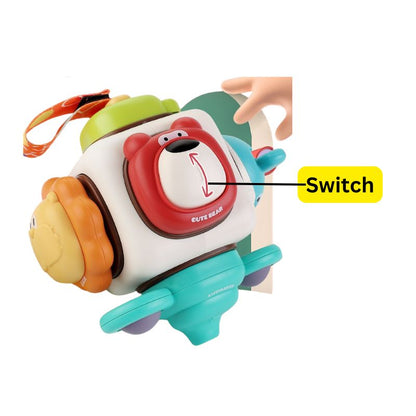 Animal Exploration Activity Cube
