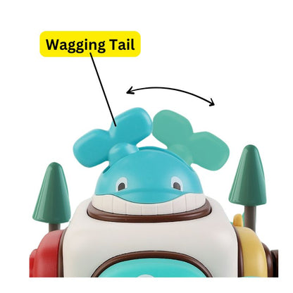 Animal Exploration Activity Cube