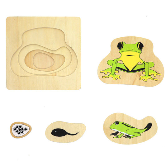Montessori-Schichtpuzzles: Lebenszyklen der Tiere