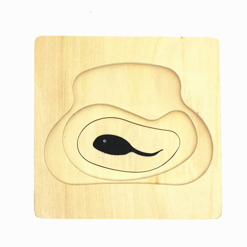 Montessori Layered Puzzles: Animal Life Cycles