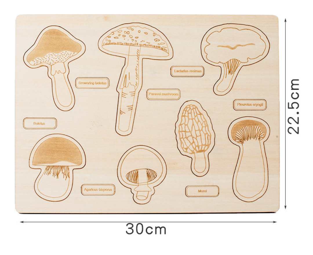 Dino Egg Adventure / Fun-Gal Puzzle Boards