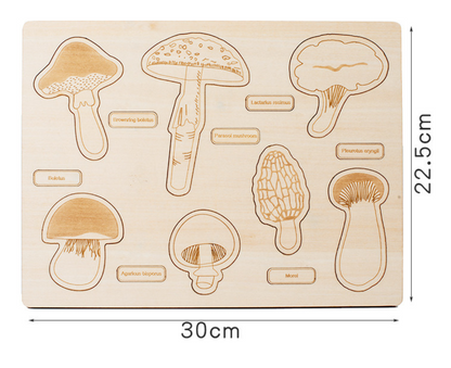 Dino Egg Adventure / Fun-Gal Puzzle Boards