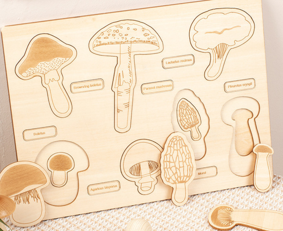 Dino Egg Adventure / Fun-Gal Puzzle Boards