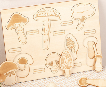 Dino Egg Adventure / Fun-Gal Puzzle Boards
