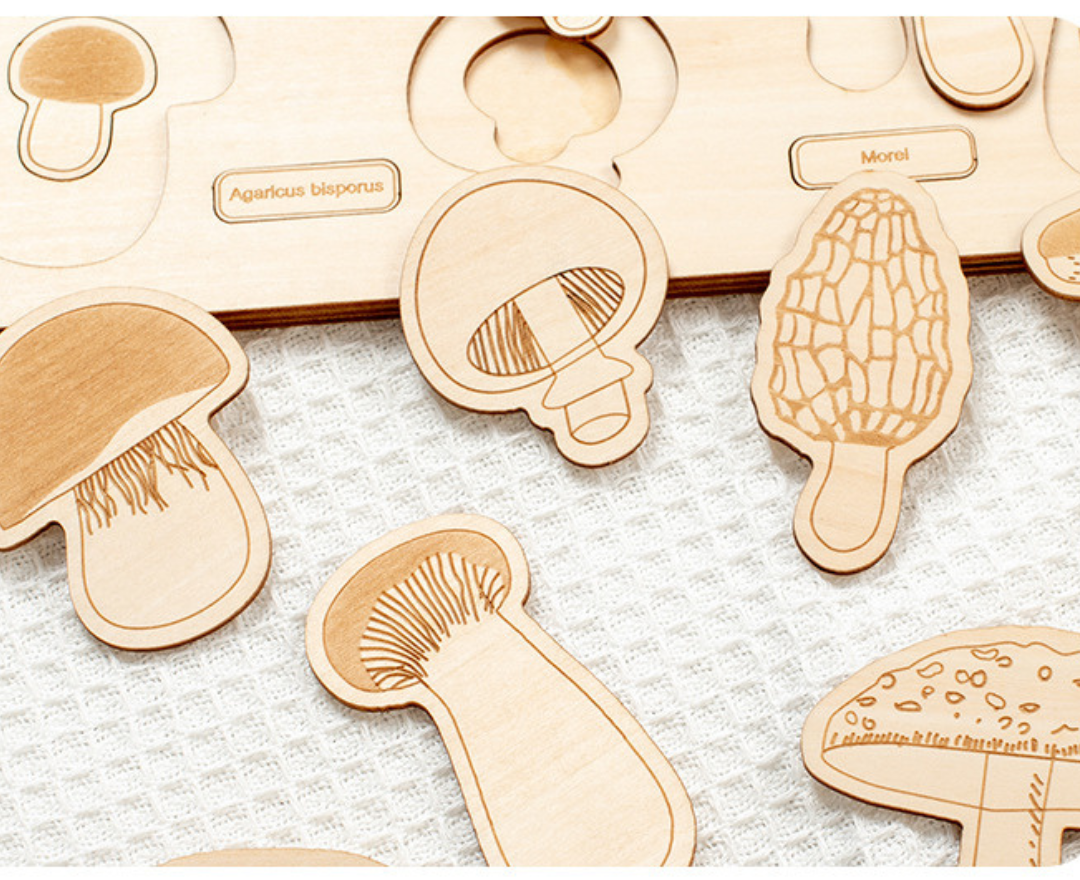 Dino Egg Adventure / Fun-Gal Puzzle Boards