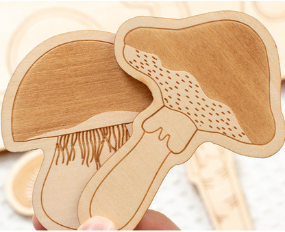 Dino Egg Adventure / Fun-Gal Puzzle Boards