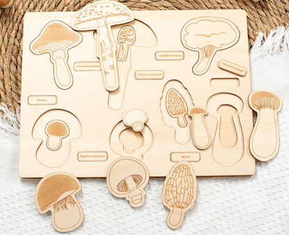 Dino Egg Adventure / Fun-Gal Puzzle Boards