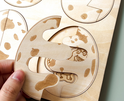 Dino Egg Adventure / Fun-Gal Puzzle Boards