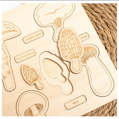 Dino Egg Adventure / Fun-Gal Puzzle Boards
