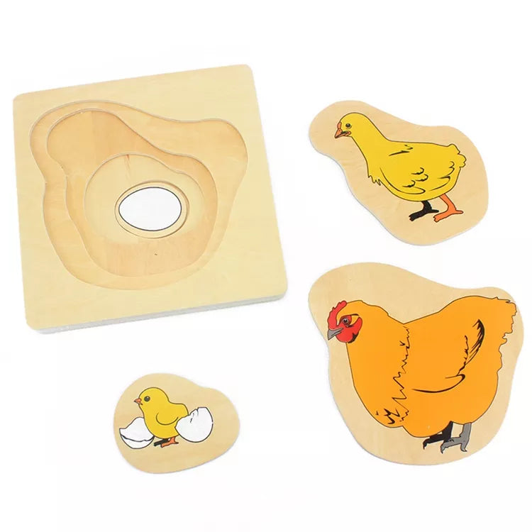 Montessori Layered Puzzles: Animal Life Cycles