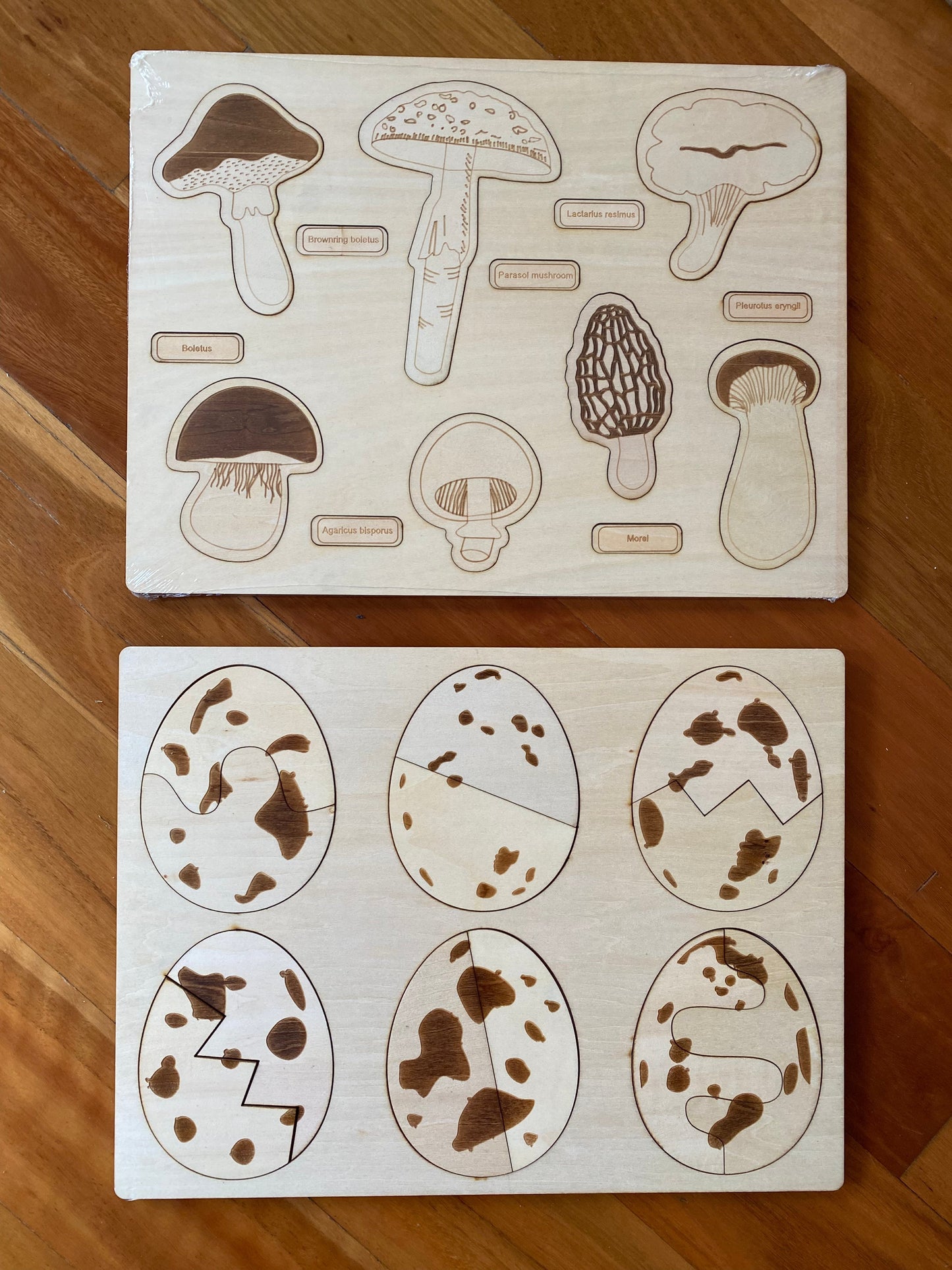 Dino Egg Adventure / Fun-Gal Puzzle Boards