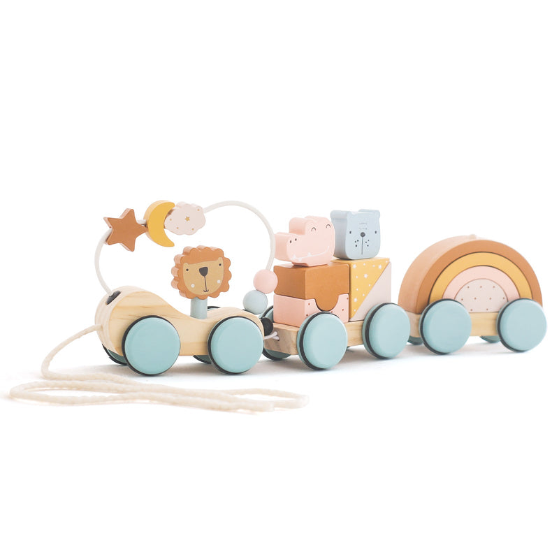 Wooden Pull Along Animal Block Train Set