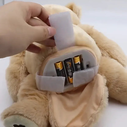 Interactive Electronic Plush Teddy for Babies | CRIATIVAE