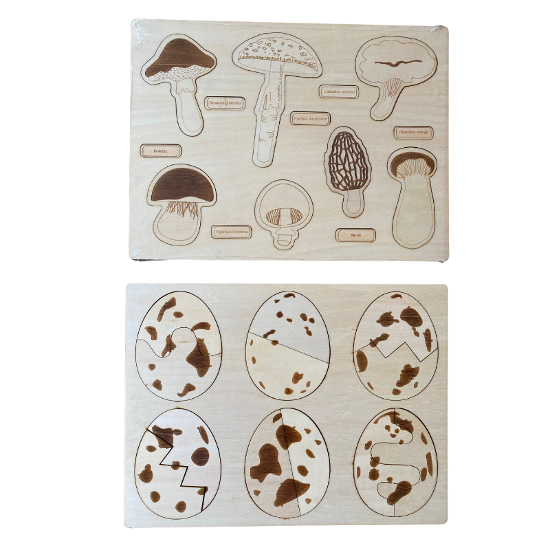 Dino Egg Adventure / Fun-Gal Puzzle Boards