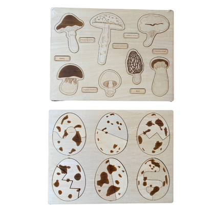 Dino Egg Adventure / Fun-Gal Puzzle Boards