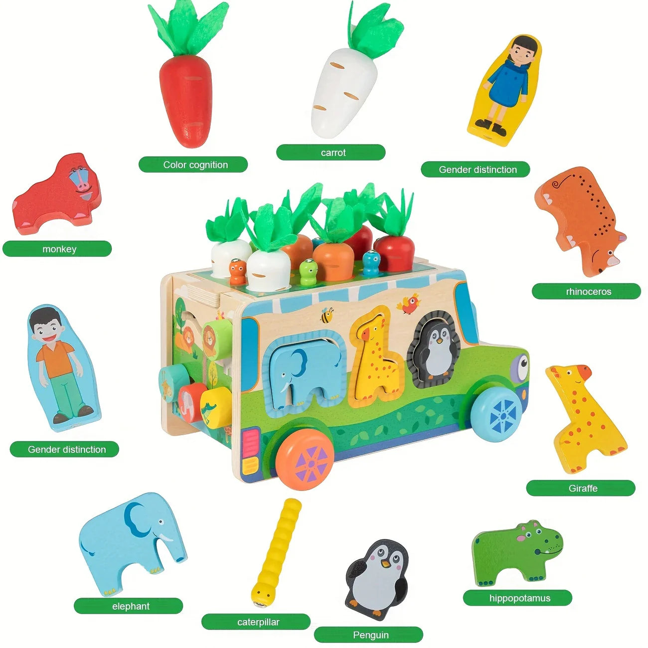 Wooden Carrot Sorting Toy – Shape & Vegetable Matching for Toddlers
