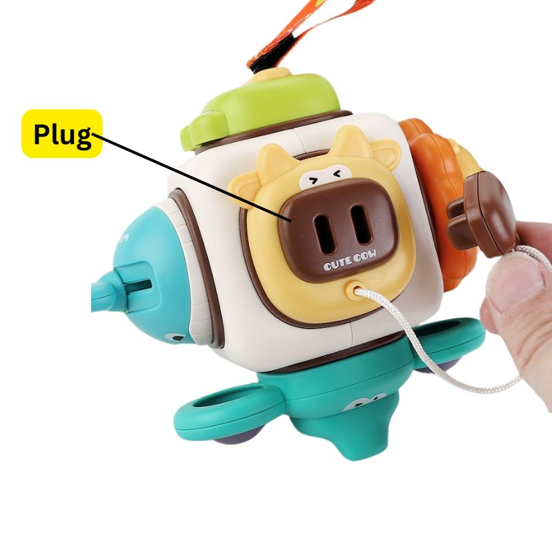 Animal Exploration Activity Cube