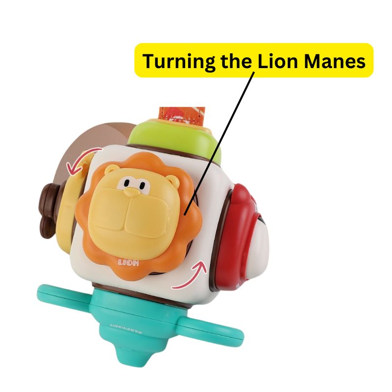 Animal Exploration Activity Cube