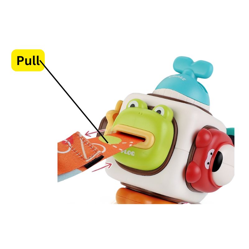 Animal Exploration Activity Cube